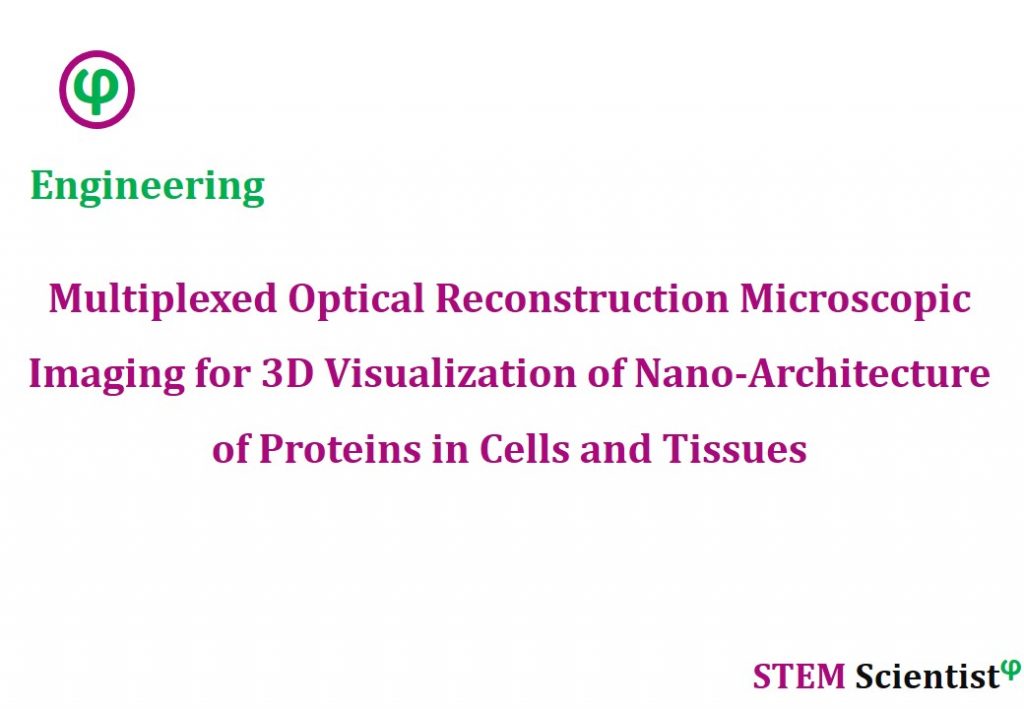 multiplexed-optical-reconstruction-microscopic-imaging-for-3d